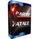 L'Arme fatale - L'intégrale [Blu-ray]