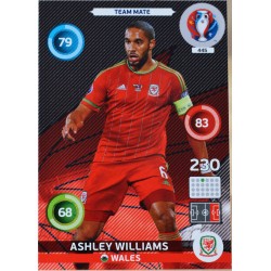 carte PANINI EURO 2016 #445 Ashley Williams