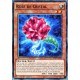 carte YU-GI-OH SP17-FR021-ST Rose de Cristal NEUF FR