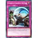 carte Yu-Gi-Oh EXFO-FR078 Techniques du Parchemin du Sens Secret