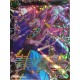 carte Dragon Ball Super TB1-030-SR Beerus, Dieu ultime de l'univers 7 NEUF FR