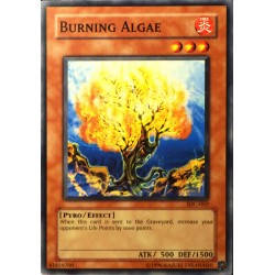 carte YU-GI-OH IOC-062 Burning Algae NEUF FR