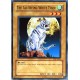 carte YU-GI-OH PSV-E093 The All-Seeing White Tiger NEUF FR