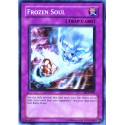 carte YU-GI-OH DCR-096 Frozen Soul NEUF FR