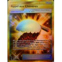 carte Pokémon 229/214 Appel aux Chimères SL10 - Soleil et Lune - Alliance Infaillible NEUF FR