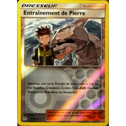 carte Pokémon 55/68 Entrainement de Pierre - REVERSE SL11.5 - Soleil et Lune - Destinées Occultes NEUF FR