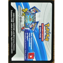 JCC Pokémon code online La Voie du Maître - Arène de Greenbury Codes (NEUF non utilisé)