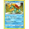 carte Pokémon 61/202 Torgamord EB01 - Epée et Bouclier 1 NEUF FR