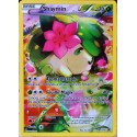 carte Pokémon XY115 Shaymin 70 PV Promo NEUF FR