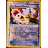 carte Pokémon 70/98 Lien Spirituel Pharamp REVERSE XY07 NEUF FR