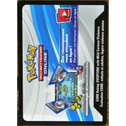 JCC Pokémon - Collection Destinées Radieuses - Pikachu-V Codes (NEUF non utilisé) 