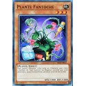 carte YU-GI-OH YSKR-FR022 Plante Fantoche (Puppet Plant) - Commune NEUF FR