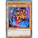 carte YU-GI-OH YSYR-FR014 Vieux Magicien Vindicatif (Old Vindictive Magician) - Commune NEUF FR