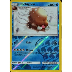 carte Pokémon 20/111 Cochignon  100 PV - REVERSE SL4 - Soleil et Lune - Invasion Carmin NEUF FR 