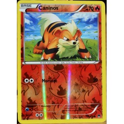 carte Pokémon 10/122 Caninos 70 PV - REVERSE XY - Rupture Turbo NEUF FR 