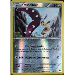 carte Pokémon 78/122 Mysdibule 80 PV - REVERSE XY - Rupture Turbo NEUF FR 