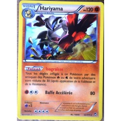 carte Pokémon 52/111 Hariyama 120 PV RARE XY03 XY Poings Furieux NEUF FR 