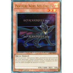 carte YU-GI-OH BLRR-FR052 Panthère Noire Néo-Spacien (Neo-Spacian Dark Panther) - Ultra Rare NEUF FR
