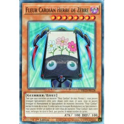 carte YU-GI-OH DLCS-FR128 Fleur Cardian Herbe de Zèbre Commune NEUF FR 