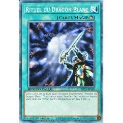 carte YU-GI-OH SBCB-FR189 Rituel du Dragon Blanc C NEUF FR 
