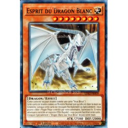 carte YU-GI-OH LDS2-FR009 Esprit du Dragon Blanc NEUF FR 
