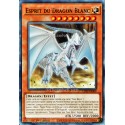 carte YU-GI-OH LDS2-FR009 Esprit du Dragon Blanc NEUF FR