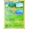 carte Pokémon 2/135 Boskara 100 PV BW09 - Tempête Plasma NEUF FR