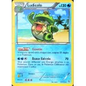 carte Pokémon 31/135 Ludicolo 130 PV BW09 - Tempête Plasma NEUF FR