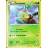 carte Pokémon 1/135 Tortipouss 70 PV BW09 - Tempête Plasma NEUF FR