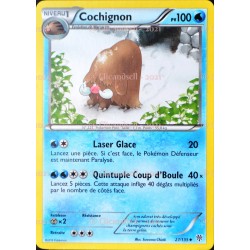 carte Pokémon 27/135 Cochignon 100 PV BW09 - Tempête Plasma NEUF FR 