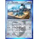 carte Pokémon 92/135 Fermite 70 PV BW09 - Tempête Plasma NEUF FR 