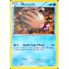 carte Pokémon 26/135 Marcacrin 60 PV BW09 - Tempête Plasma NEUF FR