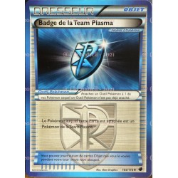 carte Pokémon Badge De La Team Plasma 104/116 GLACIATION PLASMA NEUF FR 