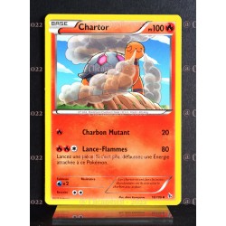 carte Pokémon 16/106 Chartor 100 PV Xy Étincelles NEUF FR 