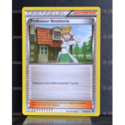 carte Pokémon 84/101 Professeur Keteleeria Série BW Explosion Plasma NEUF FR 