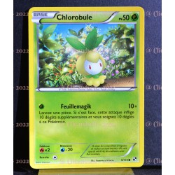 carte Pokémon 9/114 Chlorobule Noir & Blanc NEUF FR 