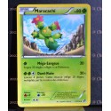 carte Pokémon 11/114 Maracachi Noir & Blanc NEUF FR