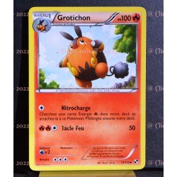 carte Pokémon 17/114 Grotichon Noir & Blanc NEUF FR 