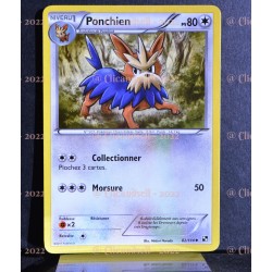 carte Pokémon 82/114 Ponchien Noir & Blanc NEUF FR 