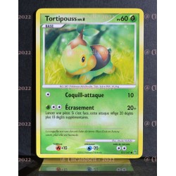 carte Pokémon 131/147 Tortipouss Lv.8 60 PV Platine VS NEUF FR 