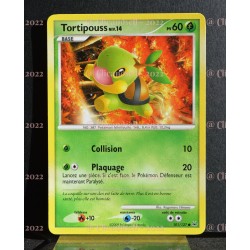 carte Pokémon 101/127 Tortipouss Lv.14 60 PV Platine NEUF FR 