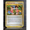 carte Pokémon 89/102 Jumelles HS Triomphe NEUF FR