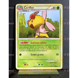 carte Pokémon 28/95 Ceriflor 80 PV HS Déchainement NEUF FR