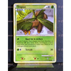 carte Pokémon 66/95 Tropius 80 PV HS Déchainement NEUF FR