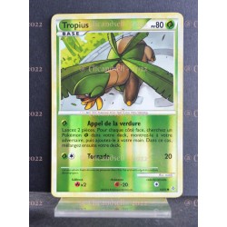 carte Pokémon 66/95 Tropius 80 PV HS Déchainement NEUF FR