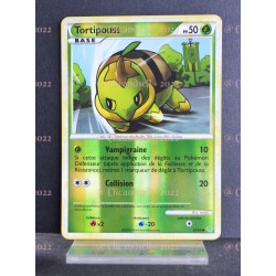 carte Pokémon 67/95 Tortipouss 50 PV HS Déchainement NEUF FR