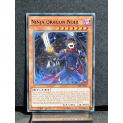 carte YU-GI-OH TDIL-FR036 Ninja Dragon Noir Commune NEUF FR