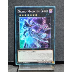 carte YU-GI-OH TDIL-FR052 Grand Magicien Ebène Super Rare NEUF FR