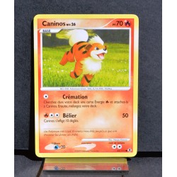 carte Pokémon 63/111 Caninos Platine Rivaux Émergents NEUF FR