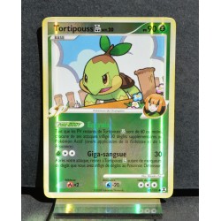 carte Pokémon 85/111 Tortipouss - REVERSE 90 PV Platine Rivaux Émergeants NEUF FR